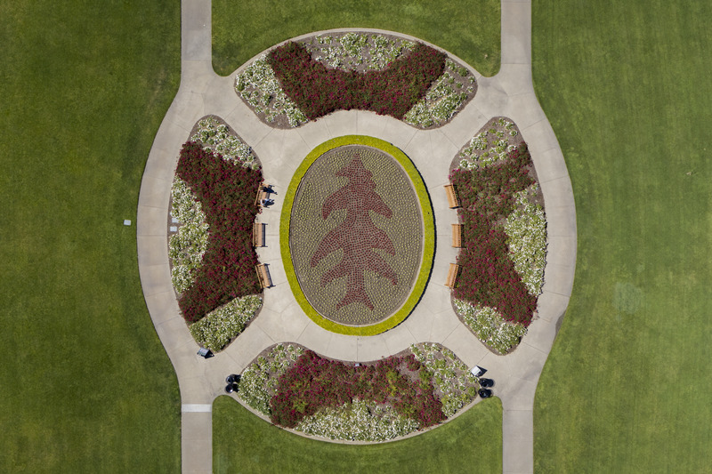 Stanford campus from above